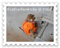 คณะลิงประกิต