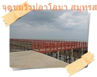 สะพานแดงจุดชมวิวปลาโลมา