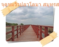 สะพานแดงเดินดูวิวปลาโลมา