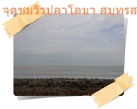ทะเลอ่าวไทย