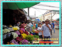 ร้านขายดอกไม้ในตลาดสดแม่สอด
