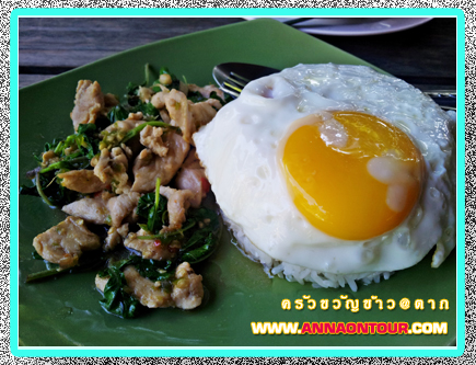 ข้าวผัดกระเพราไข่ดาว