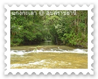 สายน้ำจากผืนป่าภูจองนายอย