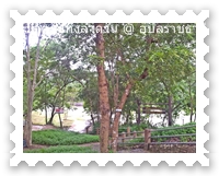 น้ำตกแก่งลำดวน