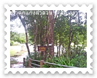 ลานพันรู