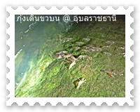ยิ่งดึกก็ยิ่งเริ่มขึ้นมา