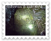 เดินชมกุ้งเดินขบวน