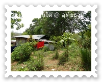 บ้านกะเหรี่ยงบ้านใต้