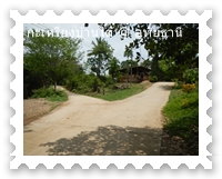 เส้นทางในหมู่บ้านกะเหรี่ยง