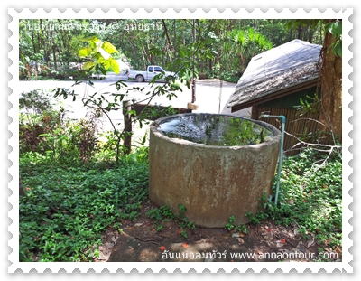 ธรรมชาติในบริเวณวนอุทยานถ้ำเขาวง